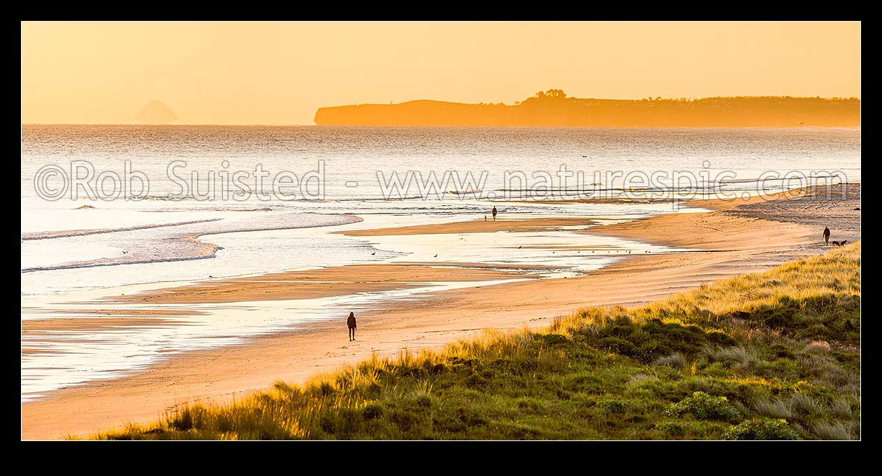 Image of Papamoa Beach sunrise panorama, looking east over sand dunes towards Okurei Point, as people take early morning exercise on beach, Papamoa Beach, Tauranga District, Bay of Plenty Region, New Zealand (NZ) stock photo image