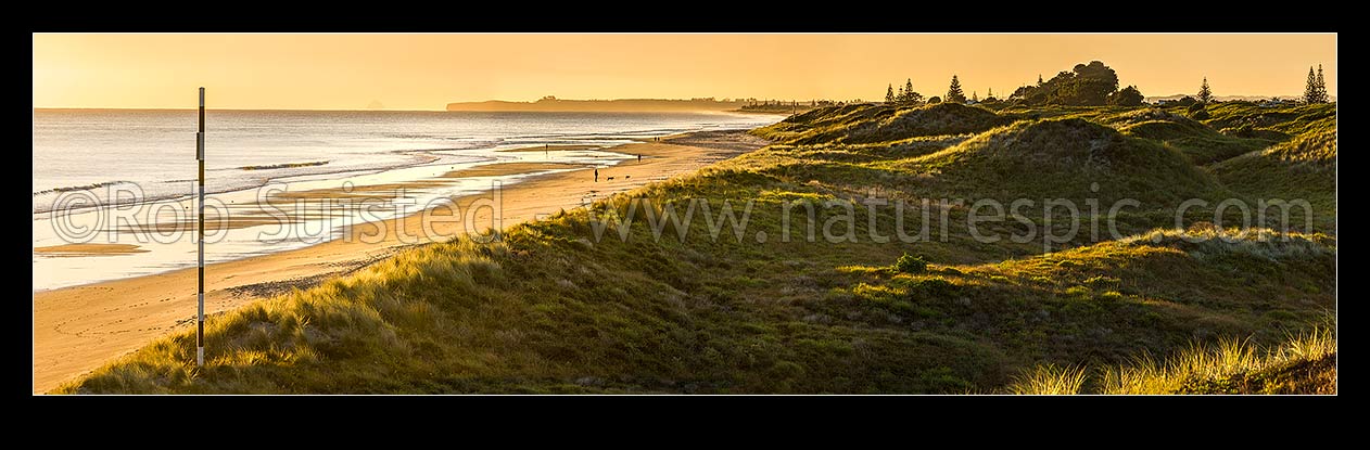 Image of Papamoa Beach sunrise panorama, looking east over sand dunes towards Okurei Point, as people take early morning exercise on beach, Papamoa Beach, Tauranga District, Bay of Plenty Region, New Zealand (NZ) stock photo image