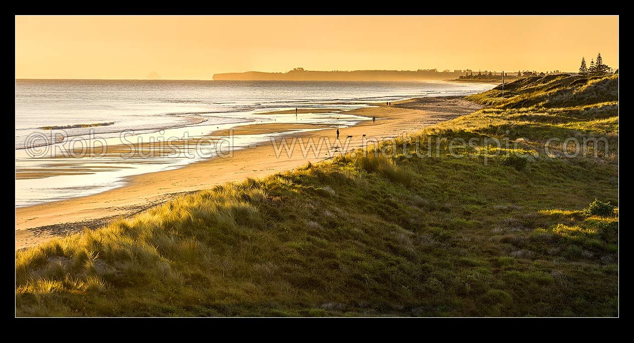 Image of Papamoa Beach sunrise panorama, looking east over sand dunes towards Okurei Point, as people take early morning exercise on beach, Papamoa Beach, Tauranga District, Bay of Plenty Region, New Zealand (NZ) stock photo image