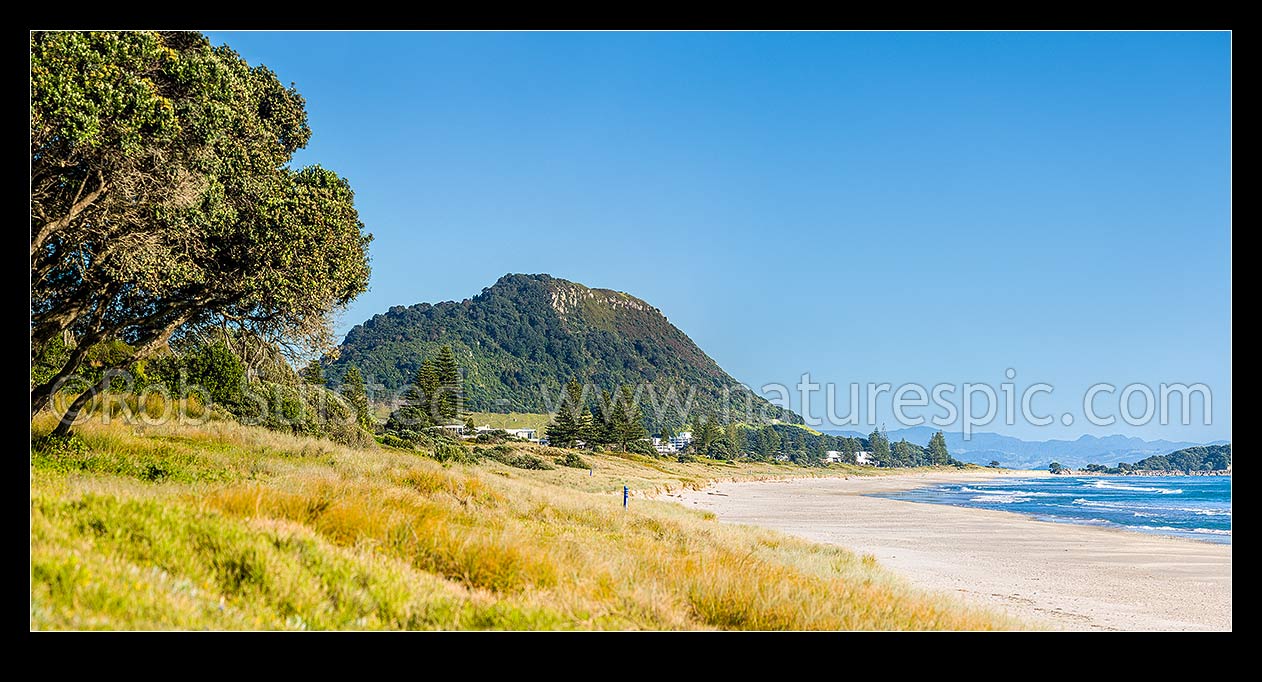 Image of Papamoa Beach on a summer day, looking west towards Mt Maunganui Mauao and Motuotau Island. Panorama, Papamoa Beach, Tauranga District, Bay of Plenty Region, New Zealand (NZ) stock photo image