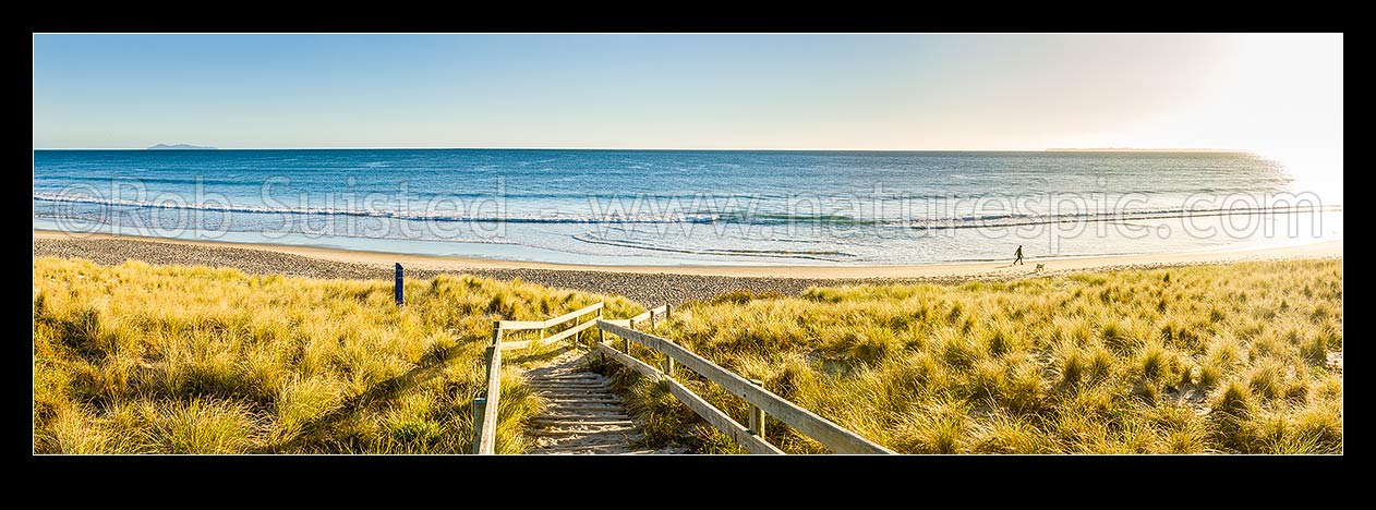 Image of Papamoa Beach and sand dunes in golden morning light. Access path to beach with person exercising with dog. Panorama, Papamoa Beach, Tauranga District, Bay of Plenty Region, New Zealand (NZ) stock photo image