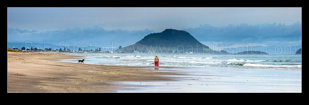 Image of Walker with dog on Papamoa Beach on a moody morning. Mount Maunganui Mauao (231m) behind. Panorama, Papamoa Beach, Tauranga District, Bay of Plenty Region, New Zealand (NZ) stock photo image