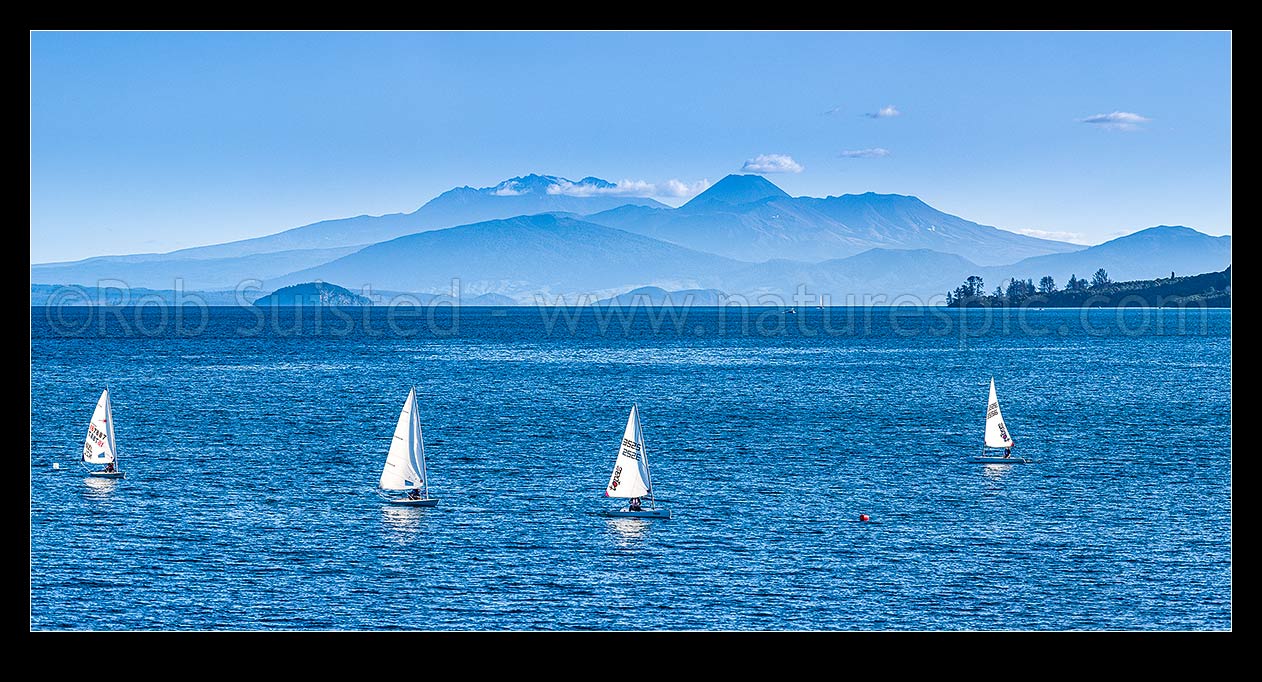 Image of Lake Taupo, looking south to volcanic central plateau, Tongariro National park and Mountains Ruapehu, Ngauruhoe and Tongariro. With small sailboats training in foreground. Panorama, Taupo, New Zealand (NZ) stock photo image