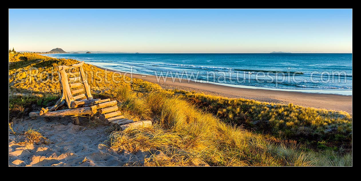 Image of Papamoa Beach early morning sand dunes with driftwood chair perched on top. Looking along beach towards Mount Maunganui Mauao (231m) beyond. Panorama, Papamoa Beach, Tauranga District, Bay of Plenty Region, New Zealand (NZ) stock photo image