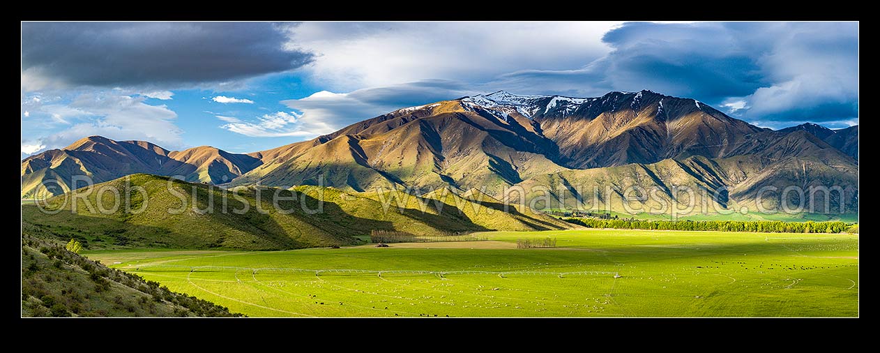 Image of Farmland and high country of the Benmore Range and Totara Peak (1822m above). Including dairy farmland and pivot irrigators. Panorama, Omarama, MacKenzie District, Canterbury Region, New Zealand (NZ) stock photo image