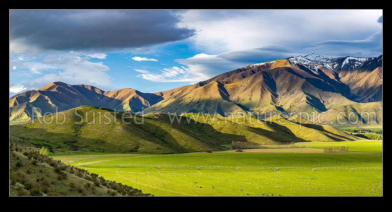 Image of Farmland and high country of the Benmore Range and Totara Peak (1822m above). Including dairy farmland and pivot irrigators. Panorama, Omarama, MacKenzie District, Canterbury Region, New Zealand (NZ) stock photo image