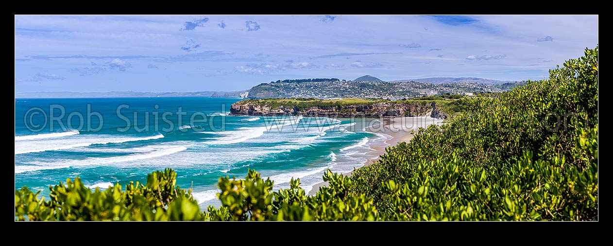 Image of Tomahawk Beach, looking south past Ocean Grove to Lawyers Head and St Clair suburb behind. Dunedin south coast. Panorama, Dunedin, Dunedin City District, Otago Region, New Zealand (NZ) stock photo image