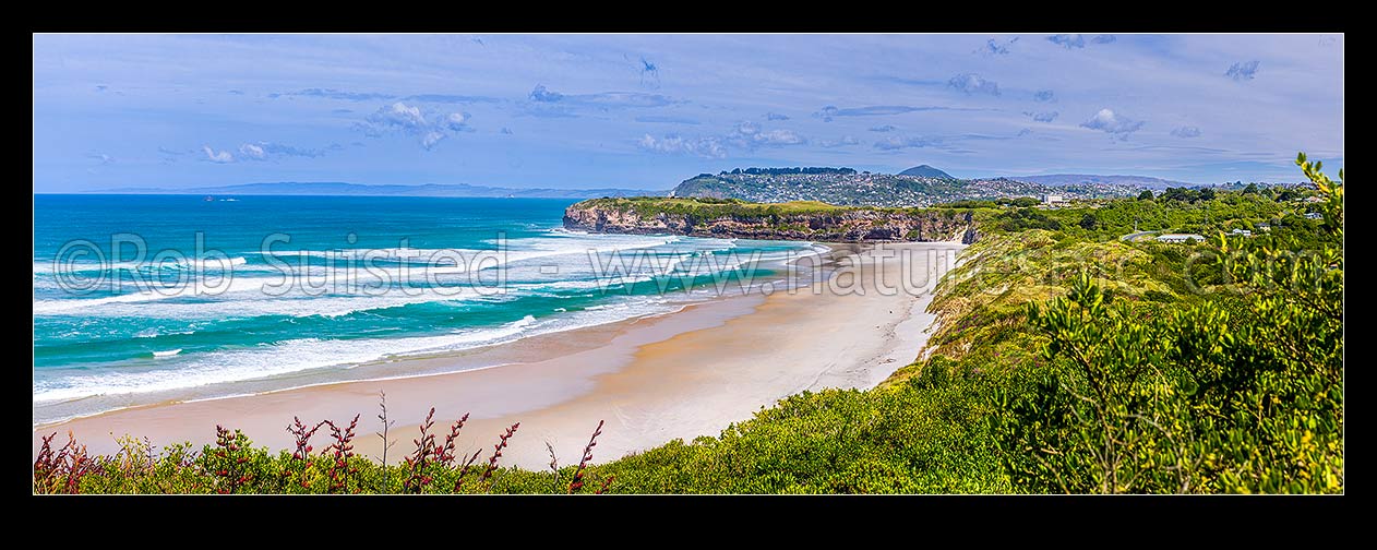 Image of Tomahawk Beach, looking south past Ocean Grove to Lawyers Head and St Clair suburb behind. Dunedin south coast. Panorama, Dunedin, Dunedin City District, Otago Region, New Zealand (NZ) stock photo image