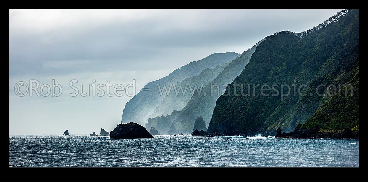 Image of Fiordland wild coastline, coastal cliffs and jagged rocky shore near Te Puaitaha Breaksea Sound. Rainforest clinging to cliffs. Panorama, Fiordland National Park, Southland District, Southland Region, New Zealand (NZ) stock photo image