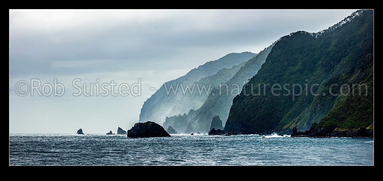 Image of Fiordland wild coastline, coastal cliffs and jagged rocky shore near Te Puaitaha Breaksea Sound. Rainforest clinging to cliffs. Panorama, Fiordland National Park, Southland District, Southland Region, New Zealand (NZ) stock photo image