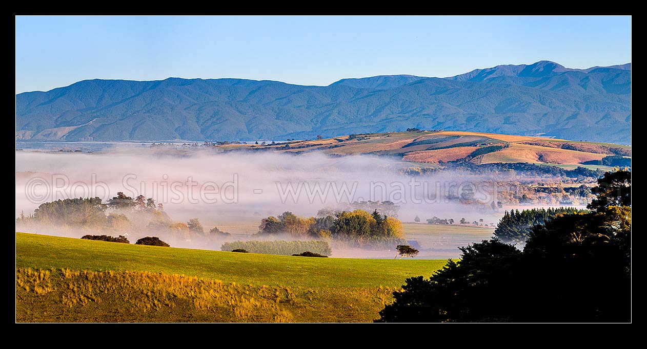 Image of Rural Gladstone morning panorama, with autumn colours and morning mist hanging in valleys. Tararua Ranges behind (Mt Alpha 1361m right). Panorama, Gladstone, Carterton District, Wellington Region, New Zealand (NZ) stock photo image