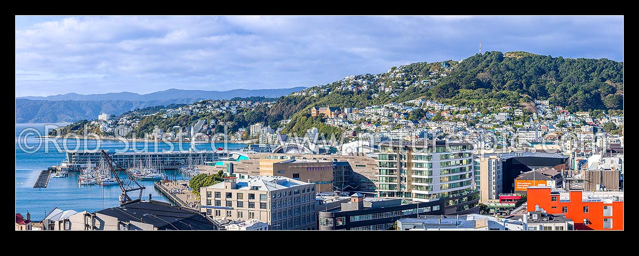 Image of Wellington City CBD panorama, looking over Te Aro towards Clyde Quay Wharf, harbour, Te Papa Museum, Oriental Bay, Roseneath and Mount Victoria above, Wellington, Wellington City District, Wellington Region, New Zealand (NZ) stock photo image