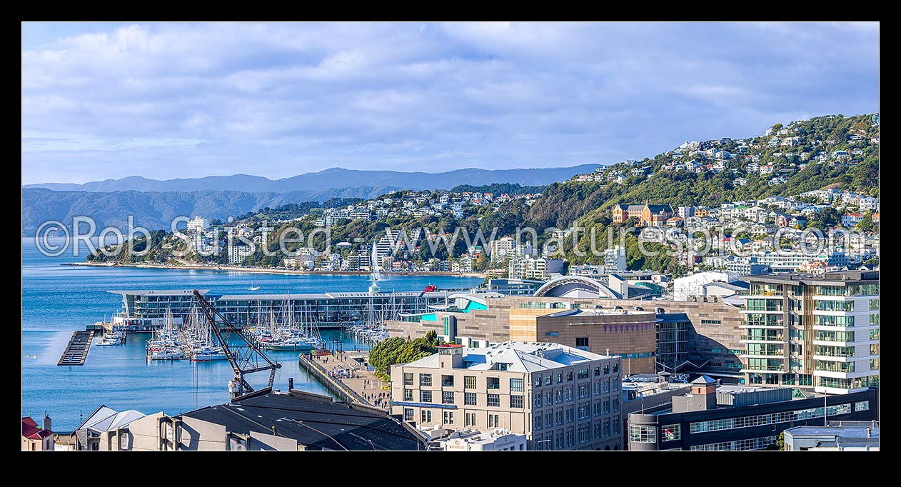 Image of Wellington City CBD panorama, looking over Te Aro towards Clyde Quay Wharf, harbour, Te Papa Museum, Oriental Bay, and Roseneath. Remutaka Range beyond, Wellington, Wellington City District, Wellington Region, New Zealand (NZ) stock photo image