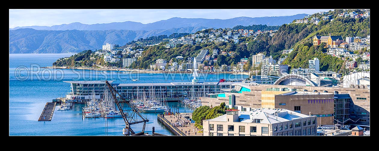 Image of Wellington City CBD panorama, looking over Te Aro towards Clyde Quay Wharf, harbour, Te Papa Museum, Oriental Bay, and Roseneath. Remutaka Range beyond, Wellington, Wellington City District, Wellington Region, New Zealand (NZ) stock photo image