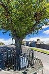 Captain Scott memorial, Oamaru town