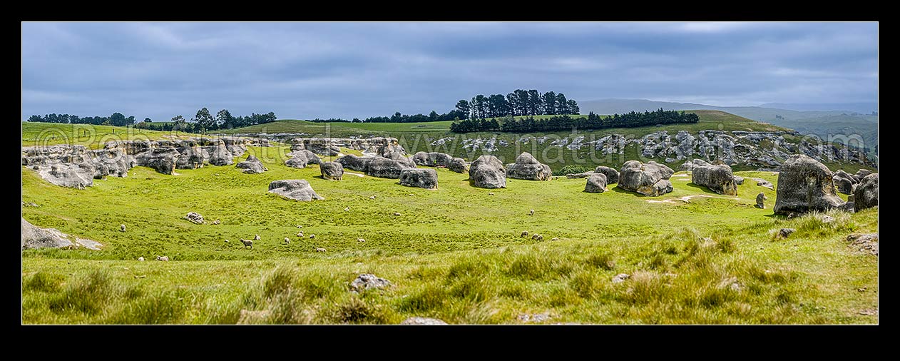 Image of Elephant Rocks limestone site in the Waitaki Whitestone Geopark, Maerewhenua. Panorama of the uplifted weathered marine limestone, Duntroon, Waitaki District, Canterbury Region, New Zealand (NZ) stock photo image