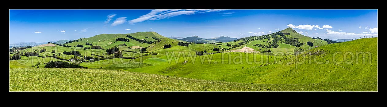 Image of Rural lush farmland panorama near Goodwood with rolling hills and paddocks. Mt Puketapu (343m) a local landmark with McKenzie memorial on summit at right, Mt Royal left, Palmerston, Waitaki District, Canterbury Region, New Zealand (NZ) stock photo image