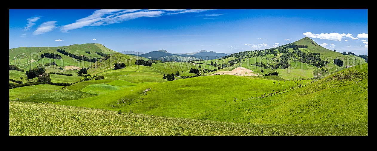 Image of Rural lush farmland panorama near Goodwood with rolling hills and paddocks. Mt Puketapu (343m) a local landmark with McKenzie memorial on summit at right, Mt Royal left, Palmerston, Waitaki District, Canterbury Region, New Zealand (NZ) stock photo image