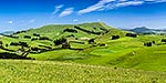 North Otago farmland