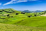 North Otago farmland