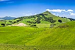 North Otago farmland