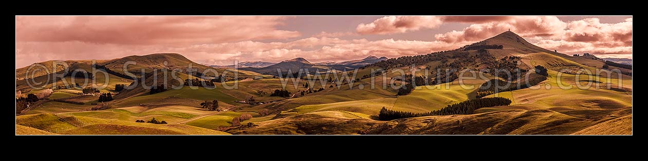 Image of North Otago farmland at Goodwood with Puketapu Hill (344m) right with Sir John McKenzie Monument. Panorama. Similar to 39924 with different light, Palmerston, Waitaki District, Canterbury Region, New Zealand (NZ) stock photo image