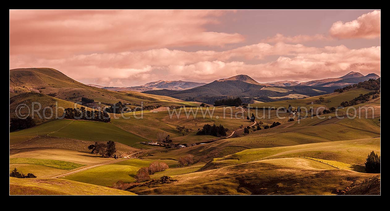 Image of North Otago farmland near Goodwood. Similar to 39924 with different light, Palmerston, Waitaki District, Canterbury Region, New Zealand (NZ) stock photo image