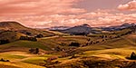 North Otago farmland, Goodwood