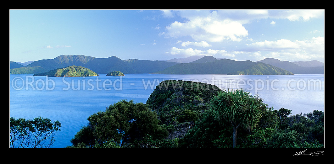 Image of Allports Island from Karaka Point, Queen Charlotte Sound, Marlborough Sounds, Picton, Marlborough District, Marlborough Region, New Zealand (NZ) stock photo image