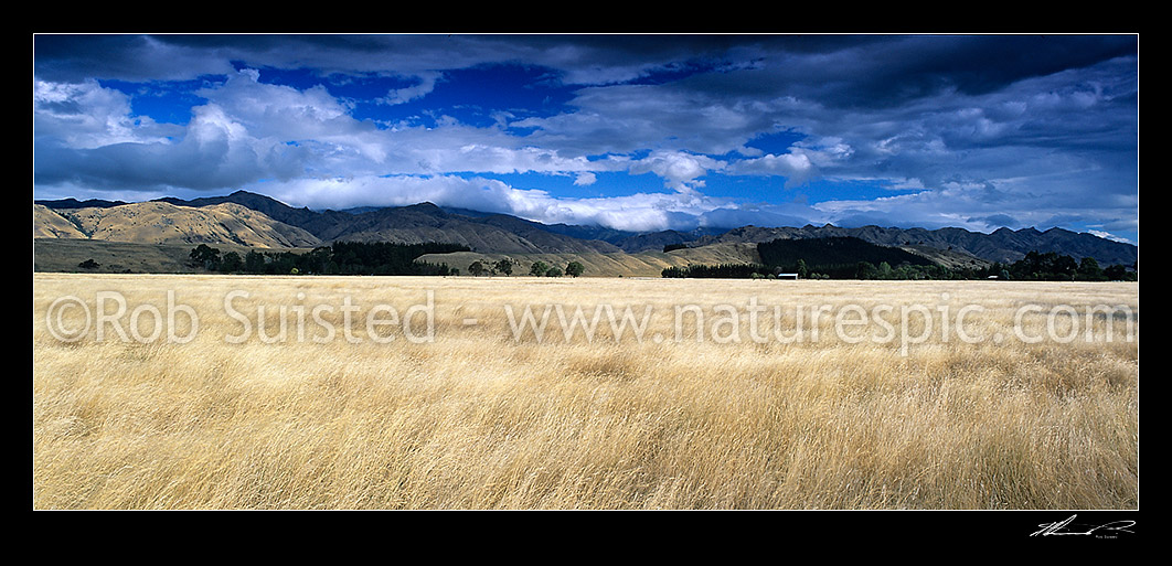 Image of Rural farmland panorama across dry grassland towards Waihopai Valley and ranges, Marlborough, Marlborough District, Marlborough Region, New Zealand (NZ) stock photo image