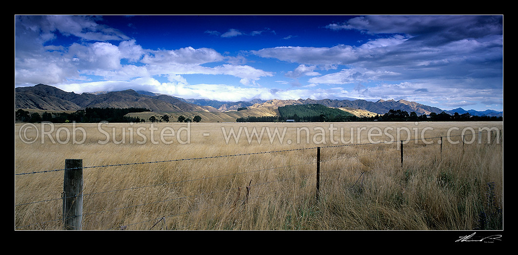 Image of Rural farmland panorama across dry grassland towards Waihopai Valley and ranges, Marlborough, Marlborough District, Marlborough Region, New Zealand (NZ) stock photo image